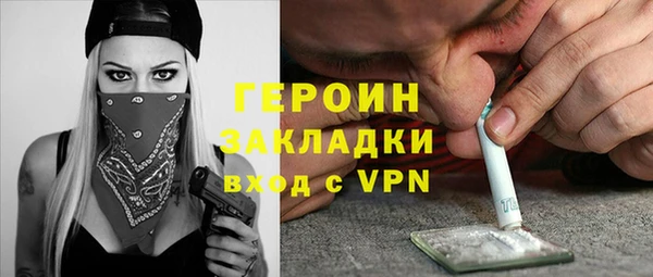 гидра Арсеньев