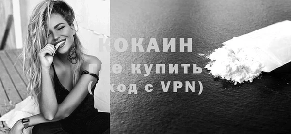 гидра Арсеньев