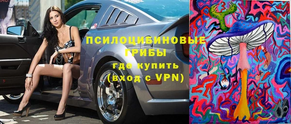 гашик Аркадак