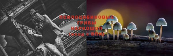гашик Аркадак