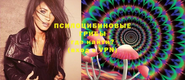 гашик Аркадак
