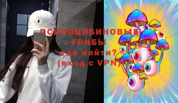 гидра Арсеньев