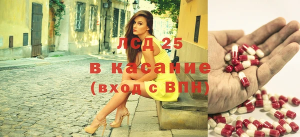 гашик Аркадак