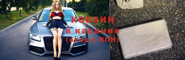 гидра Арсеньев