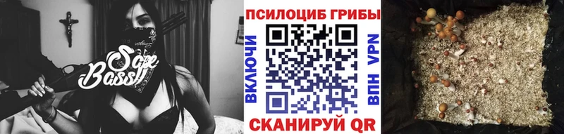 Галлюциногенные грибы прущие грибы Багратионовск